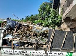 Best Shed Removal  in Olympia, WA